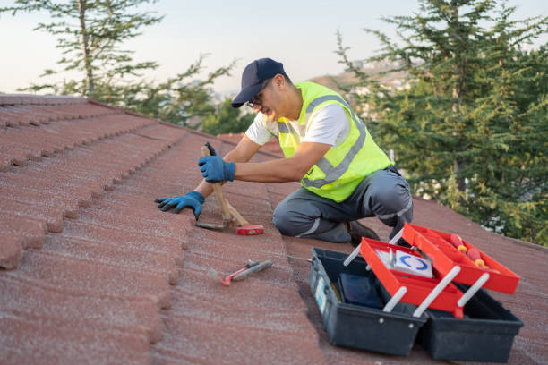 Best Roof Leak Repair  in Newell, WV